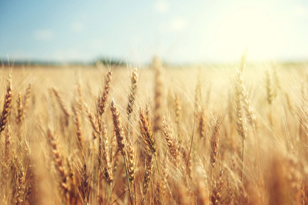 Register to our Crop Protection & Fine Chemicals Forum webinar on 28 September