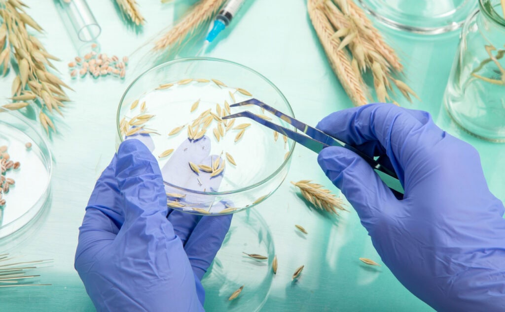 The Strategic Role of CDMOs in Europe’s Biopharmaceuticals future